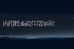 獭兔皮生产应注意啥