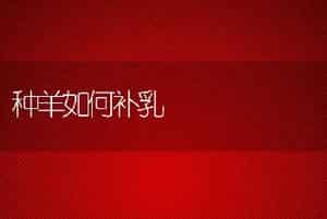 有效的小龙虾养殖模式
