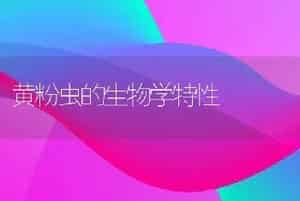 黄粉虫的生物学特性