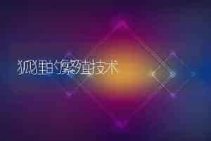 狐狸的繁殖技术
