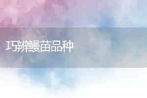 巧辨鳗苗品种