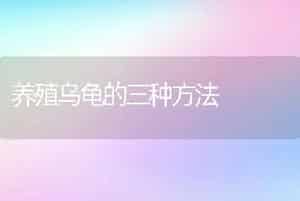 养殖乌龟的三种方法