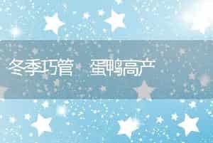 冬季巧管蛋鸭高产