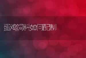 家兔春季繁殖技术