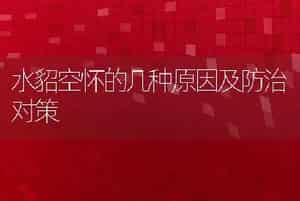 水貂空怀的几种原因及防治对策