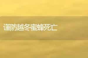 谨防越冬蜜蜂死亡