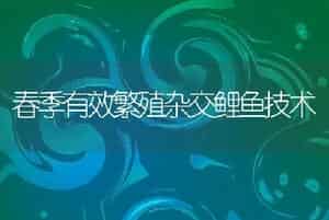 连江近海养殖采用新技术　搭塑胶渔排筑消波系统
