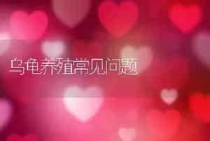乌龟养殖常见问题
