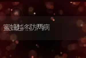 蜜蜂越冬防两病