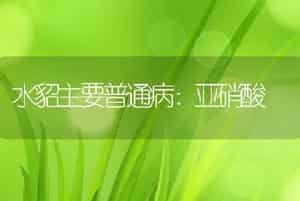 水貂主要普通病：亚硝酸