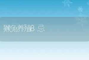 蜜蜂常见疾病防治