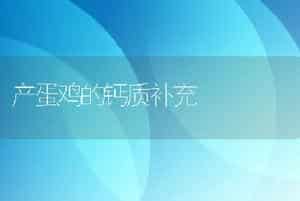 养殖鲍鱼各类疾病防治措施