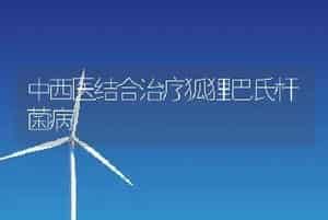 中西医结合治疗狐狸巴氏杆菌病