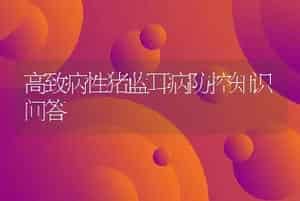 高致病性猪蓝耳病防控知识问答