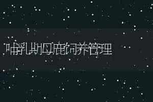 哺乳期母鹿饲养管理