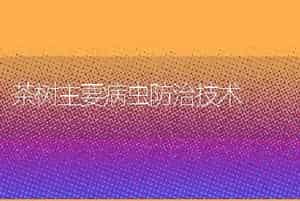 茶树主要病虫防治技术