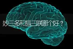 妙三多和猫三联哪个好？