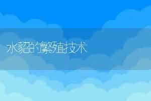 水貂的繁殖技术