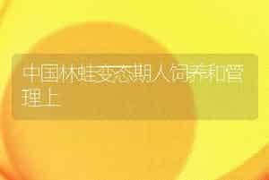 中国林蛙变态期人饲养和管理上