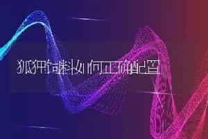 狐狸饲料如何正确配置
