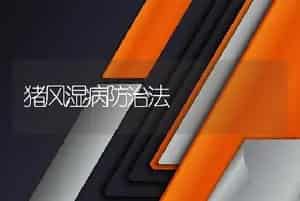 猪风湿病防治法