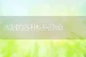 水貂的各种疾病诊治