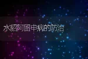 水貂阿留申病的防治