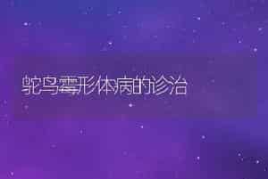 鸵鸟霉形体病的诊治