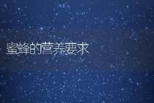 蜜蜂的营养要求