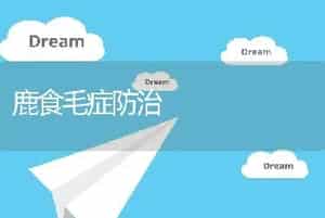 蜜蜂疾病的防御与防治