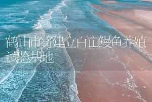 鹤山市将建立百亩鳗鱼养殖试验基地