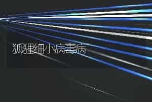 狐狸细小病毒病