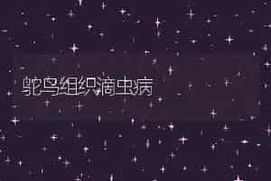 鸵鸟组织滴虫病