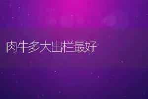 潮间带鲍池养海参技术