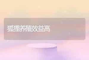 狐狸养殖效益高
