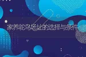 家养鸵鸟场址的选择与条件