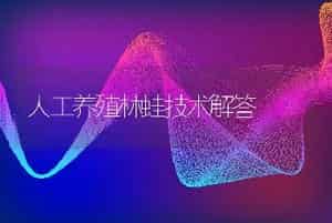 人工养殖林蛙技术解答