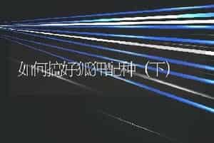 如何搞好狐狸配种（下）