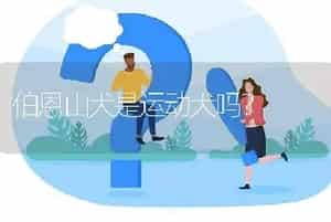 伯恩山犬是运动犬吗？