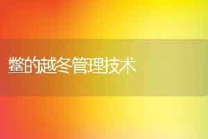 鳗鱼疾病无公害的防治技术