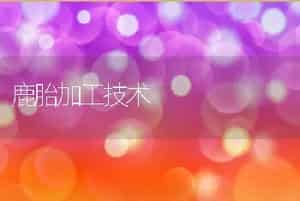 鹿胎加工技术