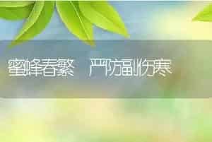 蜜蜂春繁严防副伤寒