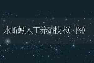 鳜鱼病毒病特点及防治