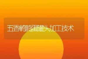 秋防猪急性肌肉风湿病