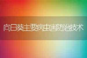 向日葵主要病虫害防治技术