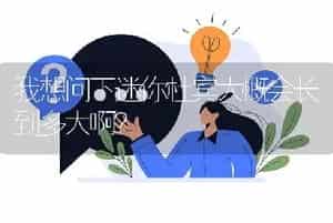 我想问下迷你杜宾大概会长到多大啊？