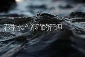 春季水产养殖的管理