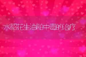 水貂花生油粕中毒的治疗