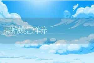 貂皮与狐狸皮的皮毛特点