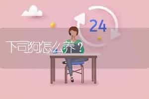下司狗怎么养？